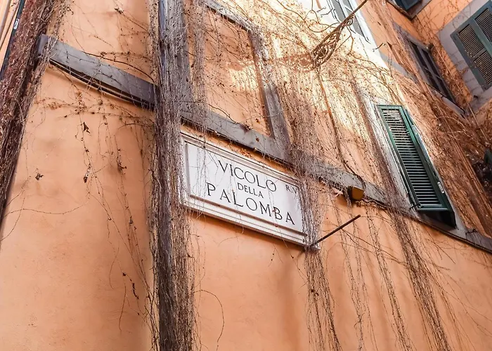 Navona Square - Romedreamhome Apartment Rom